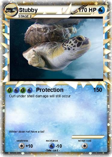Pokemon Stubby