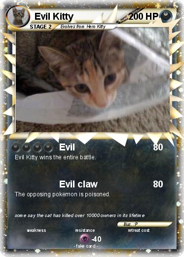 Pokemon Evil Kitty