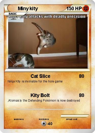 Pokemon Miny kity