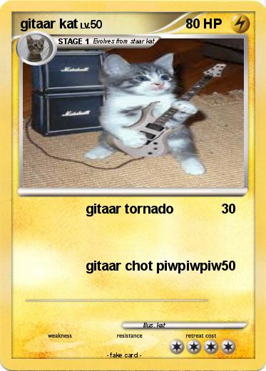 Pokemon gitaar kat