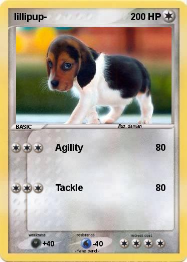 Pokemon lillipup-