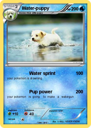 Pokemon Water-puppy