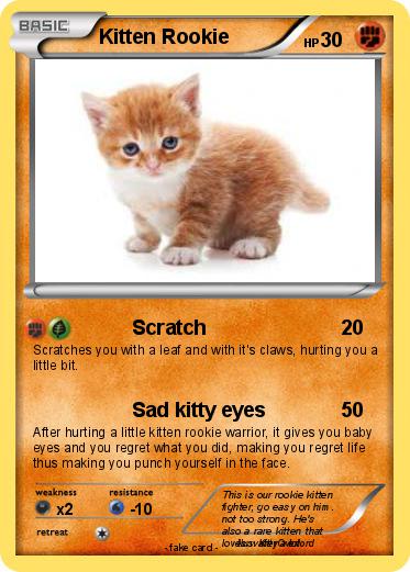 Pokemon Kitten Rookie