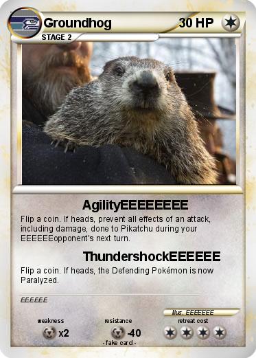 Pokemon Groundhog