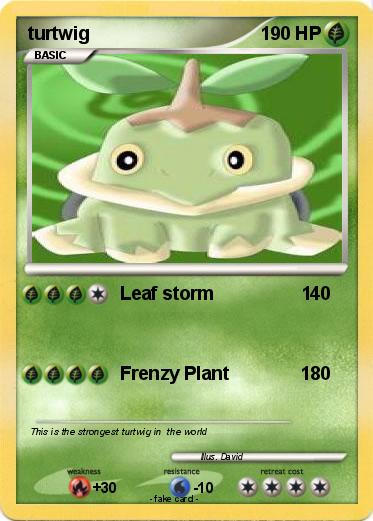 Pokemon turtwig