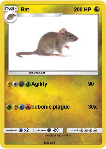 Pokemon Rat