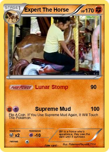 Pokemon Expert The Horse