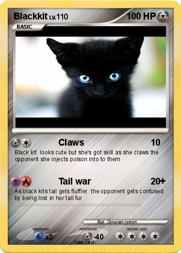 Pokemon Blackkit