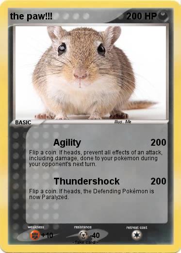 Pokemon the paw!!!