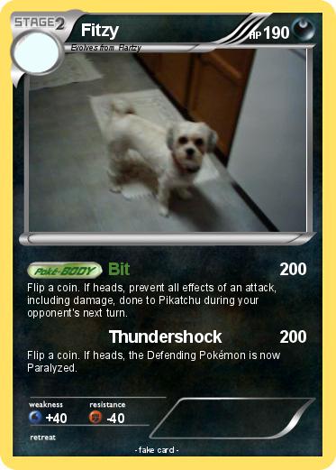 Pokemon Fitzy