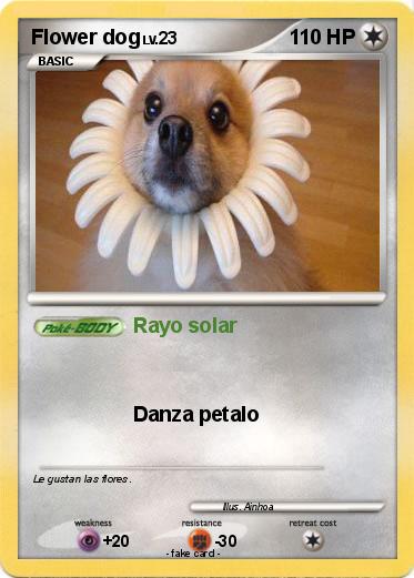 Pokemon Flower dog