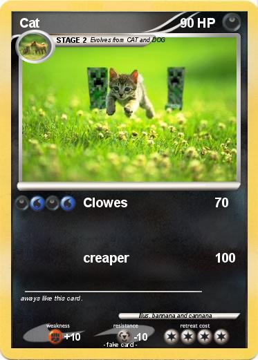 Pokemon Cat