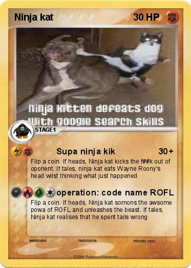 Pokemon Ninja kat