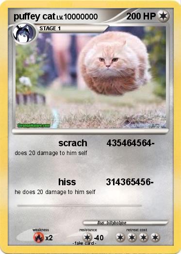 Pokemon puffey cat