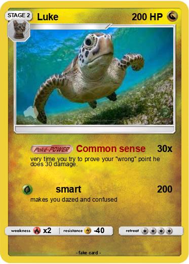 Pokemon Luke