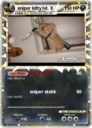 Pokemon sniper kitty lvl. X
