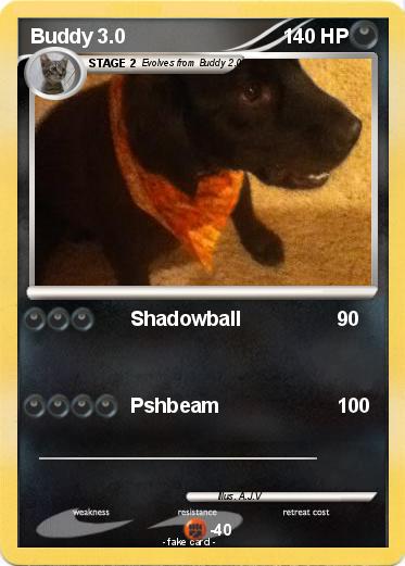 Pokemon Buddy 3.0