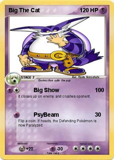 Pokemon Big The Cat