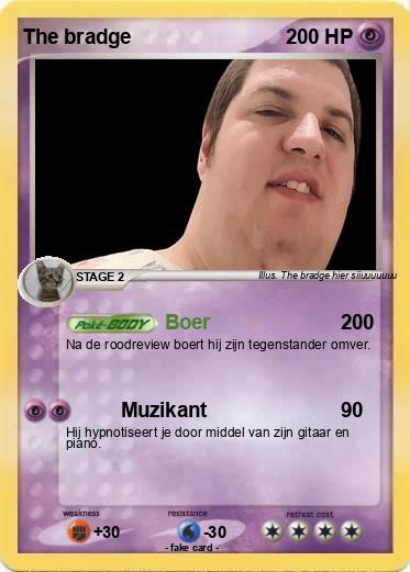 Pokemon The bradge