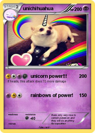 Pokemon unichihuahua