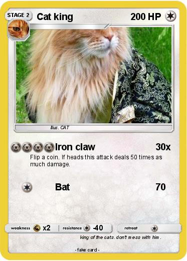 Pokemon Cat king