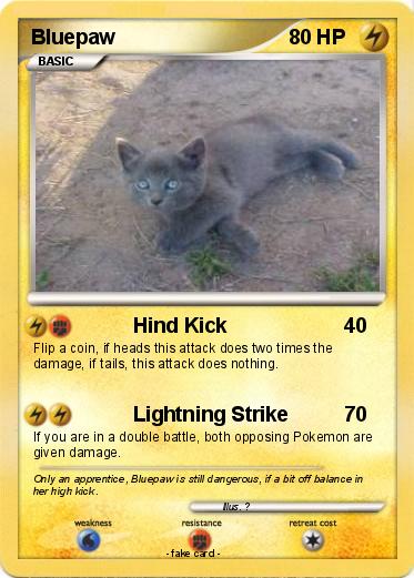 Pokemon Bluepaw