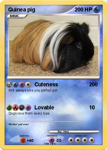Pokemon Guinea pig