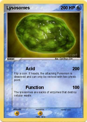 Pokemon Lysosomes