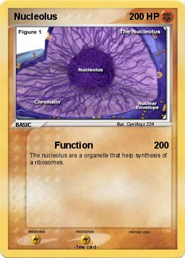 Pokemon Nucleolus