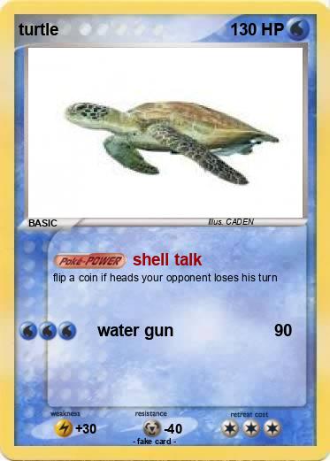 Pokemon turtle