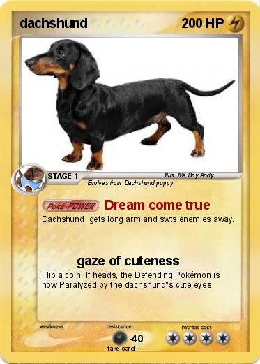 Pokemon dachshund