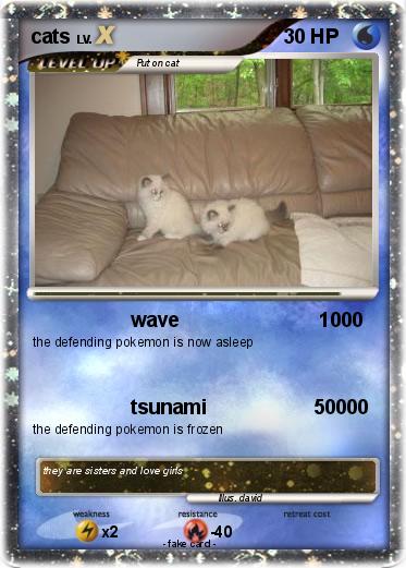 Pokemon cats