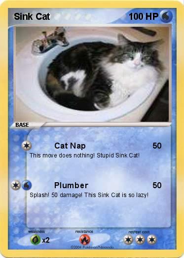 Pokemon Sink Cat