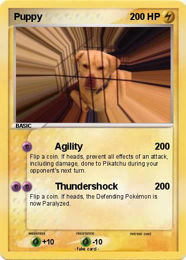 Pokemon Puppy