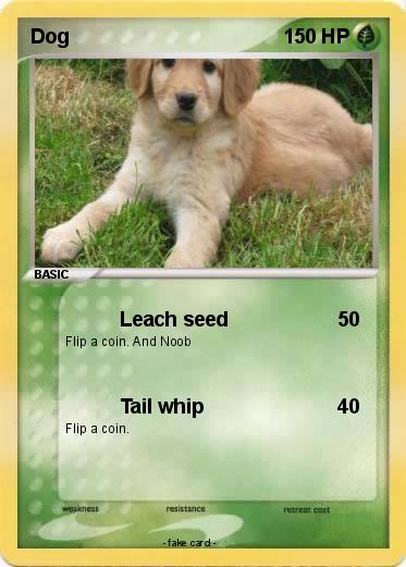 Pokemon Dog