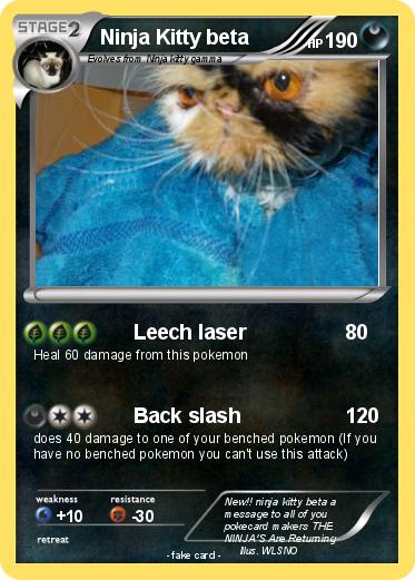 Pokemon Ninja Kitty beta
