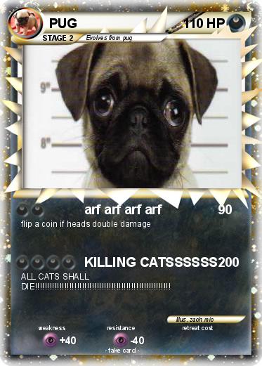 Pokemon PUG