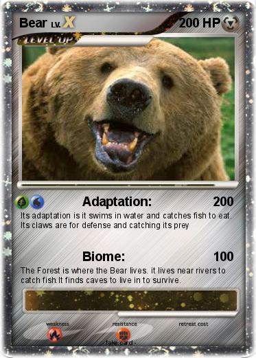 Pokemon Bear