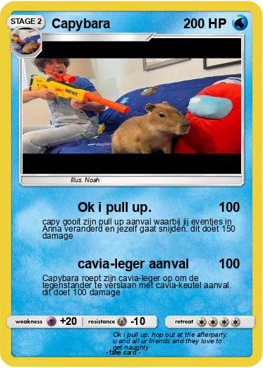Pokemon Capybara