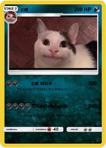 Pokemon cat
