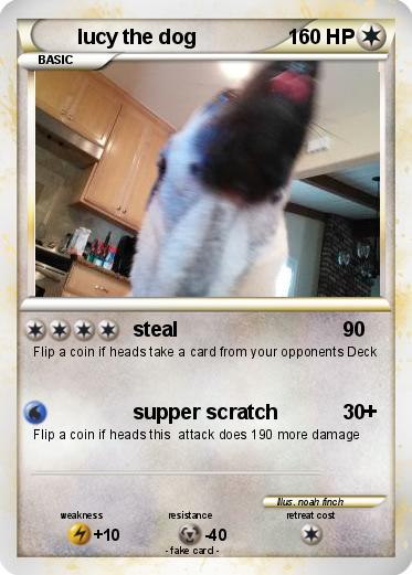 Pokemon lucy the dog