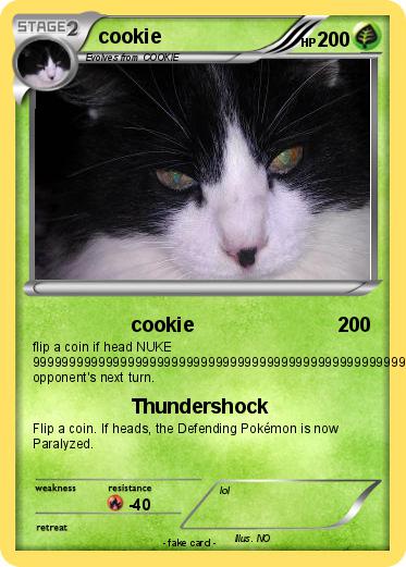 Pokemon cookie