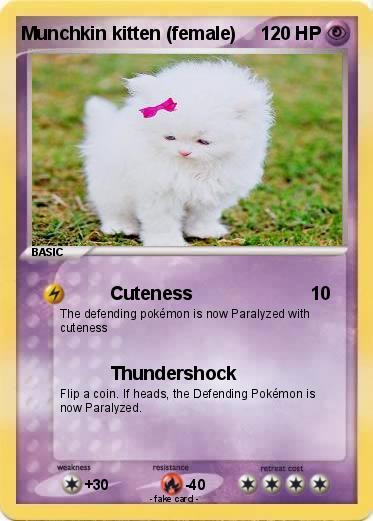 Pokemon Munchkin kitten (female)
