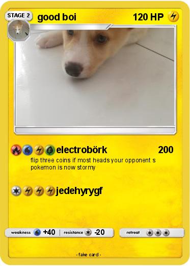 Pokemon good boi