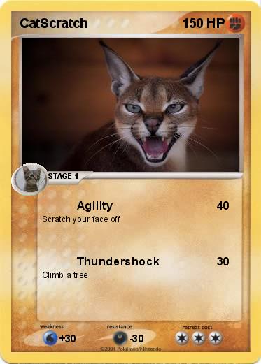 Pokemon CatScratch