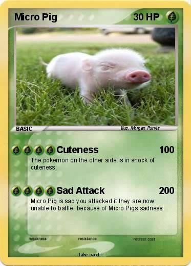 Pokemon Micro Pig