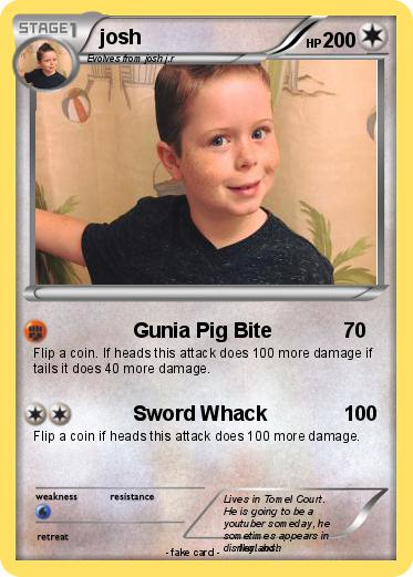 Pokemon josh