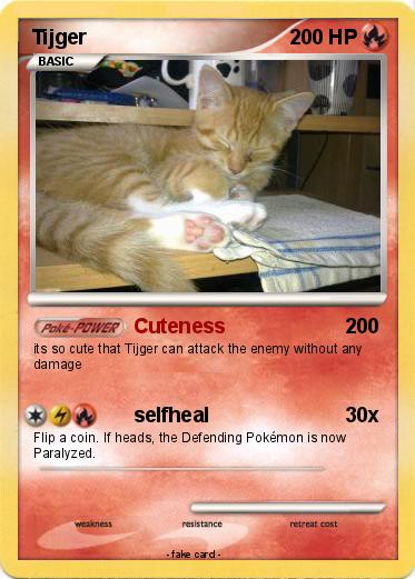 Pokemon Tijger