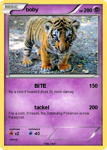 Pokemon boby