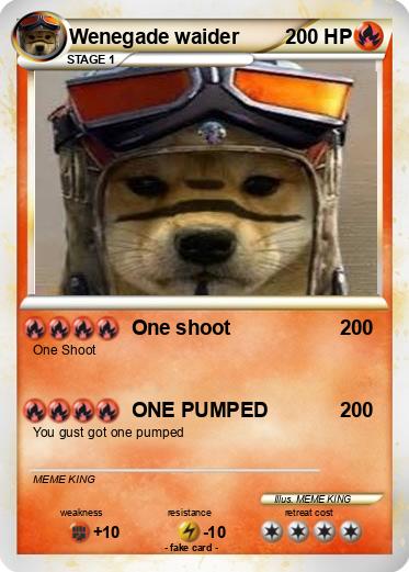 Pokemon Wenegade waider